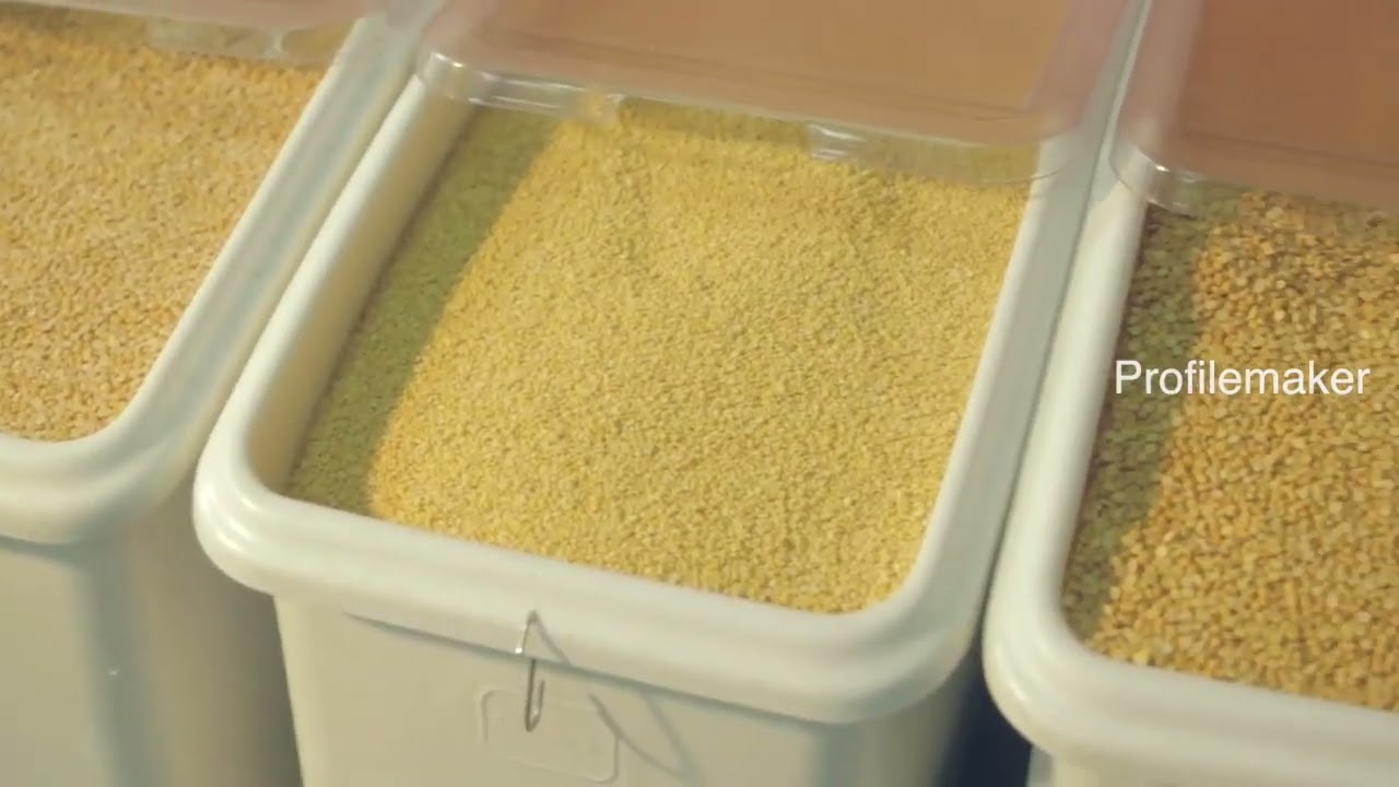 Sodexo   Quality of life services