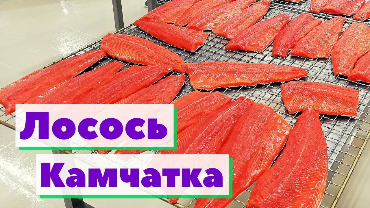 Лосось Камчатка | Как это сделано | Salmon Russia