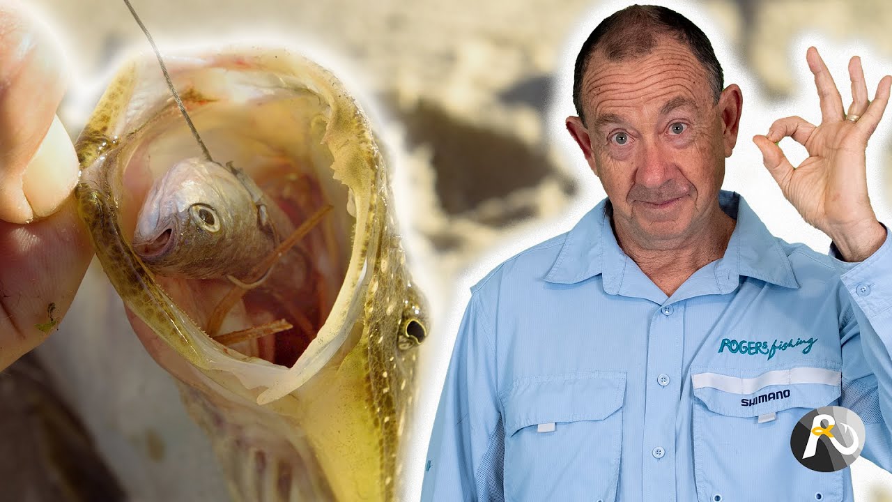 ЛОВЛЯ ПЛОСКОГОЛОВОЙ МОРСКОЙ РЫБЫ: Как я оснащаю живую кефаль и ябби!