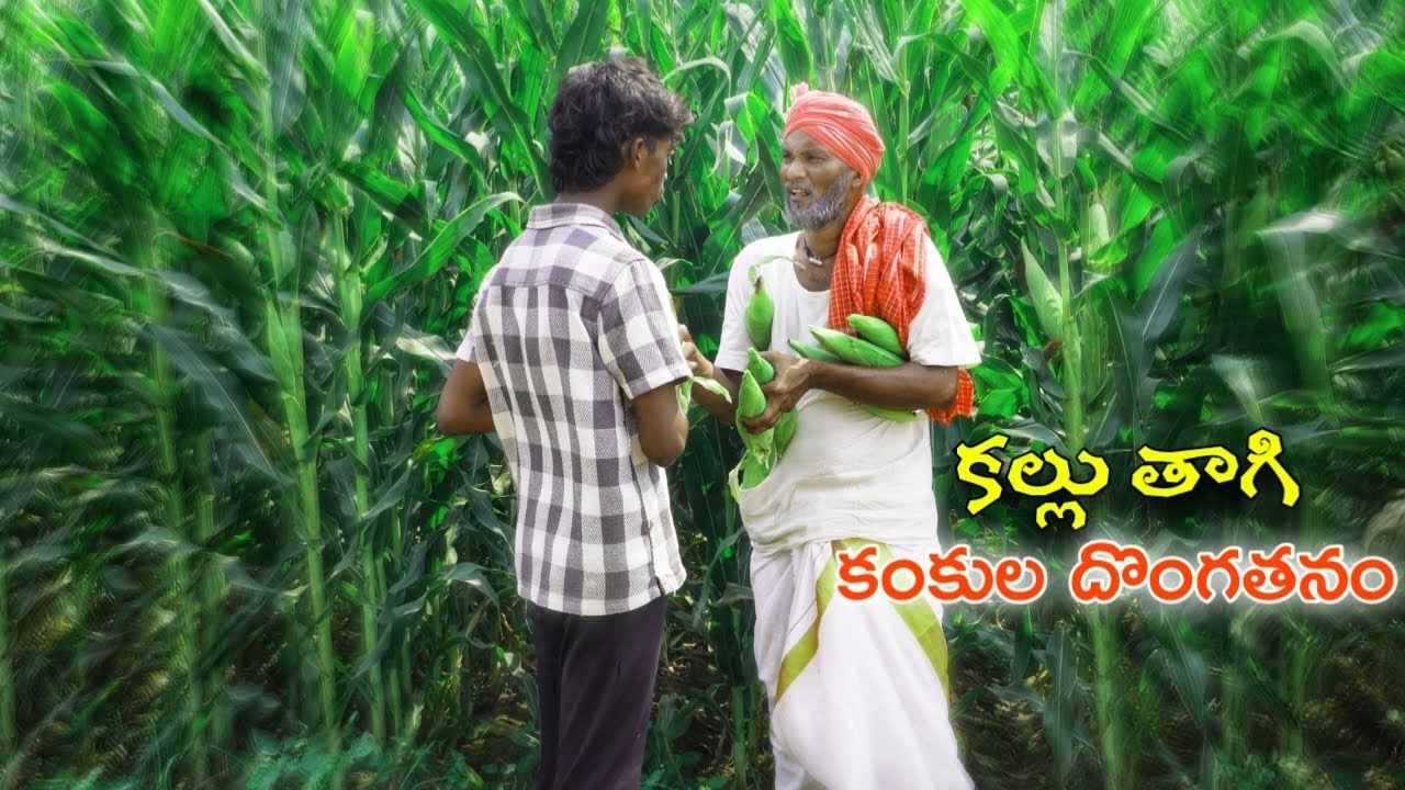 కంకుల కోసం కుక్కను కొట్టినట్టు కొట్టిండ్లు || pallr ramulu village comedy || telangana villag comedy