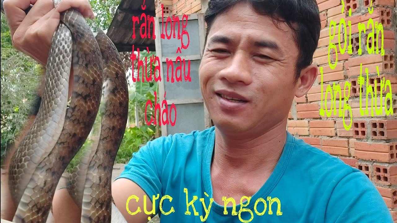 rắn long thừa nấu cháo,và bóp gỏi rau râm#2 trung vlogs