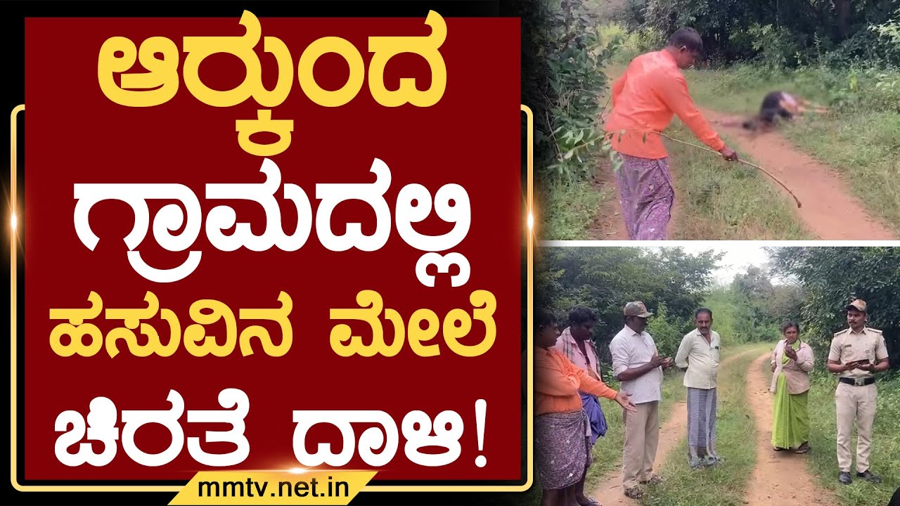 ಆರ&zwj;್ಕುಂದ ಗ್ರಾಮದಲ್ಲಿ ಹಸುವಿನ ಮೇಲೆ ಚಿರತೆ ದಾಳಿ ! | ಗೌರಿಬಿದನೂರು @MMTV-News 28-10-2025
