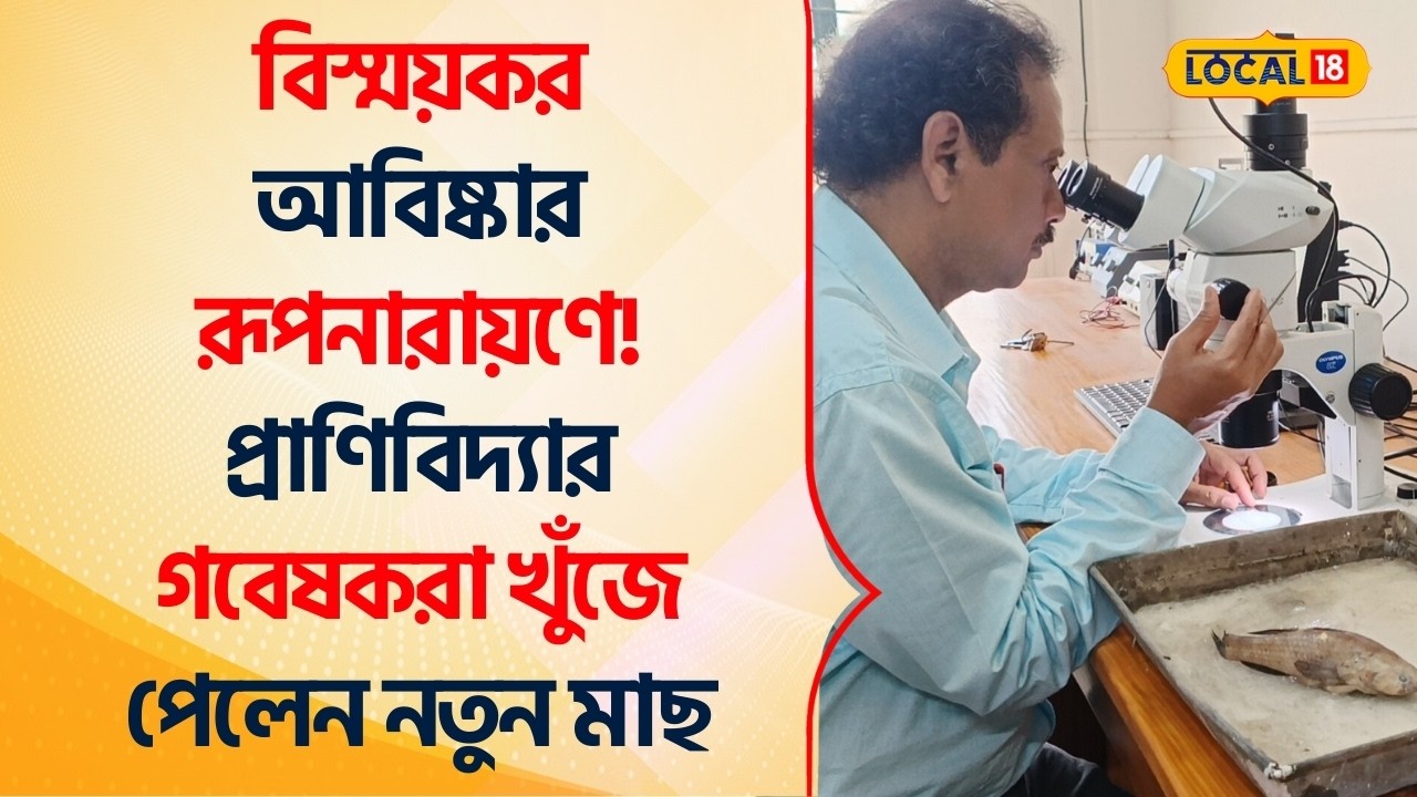 Bangla News | বিস্ময়কর আবিষ্কার রূপনারায়ণে! প্রাণিবিদ্যার গবেষকরা খুঁজে পেলেন নতুন মাছ #Local18