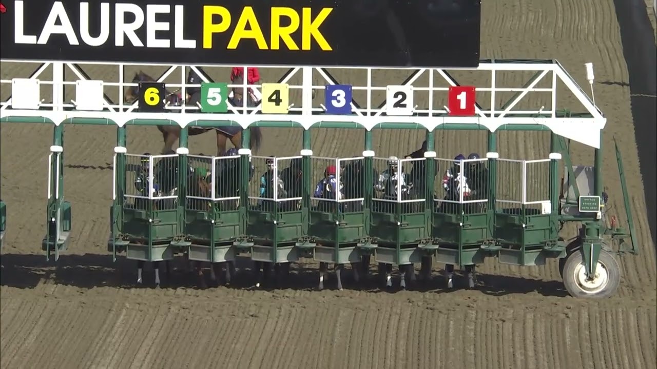 LAUREL PARK 2026-02-12 PL#04_RACE 4