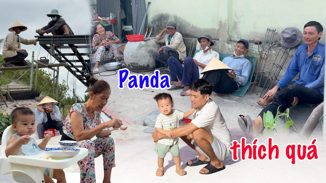Hoàn Thành Phần Sườn Mái Nhà Sàn, Panda Thích Thú Vui Chơi Trên Nền Sàn Mới