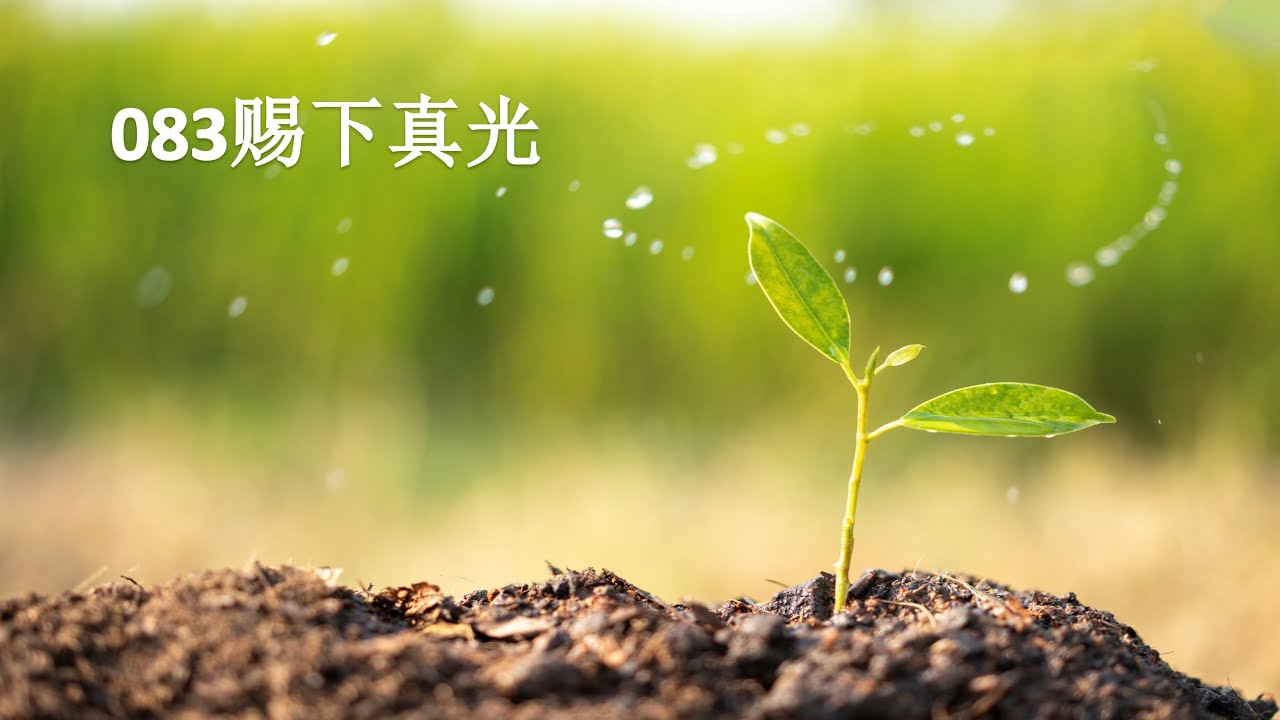 083赐下真光
