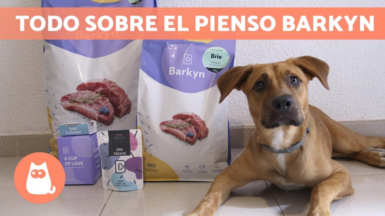 &iquest;C&oacute;mo es el PIENSO para PERROS de BARKYN? 🐶🍗 (Ventajas, Ingredientes y C&oacute;mo funciona)