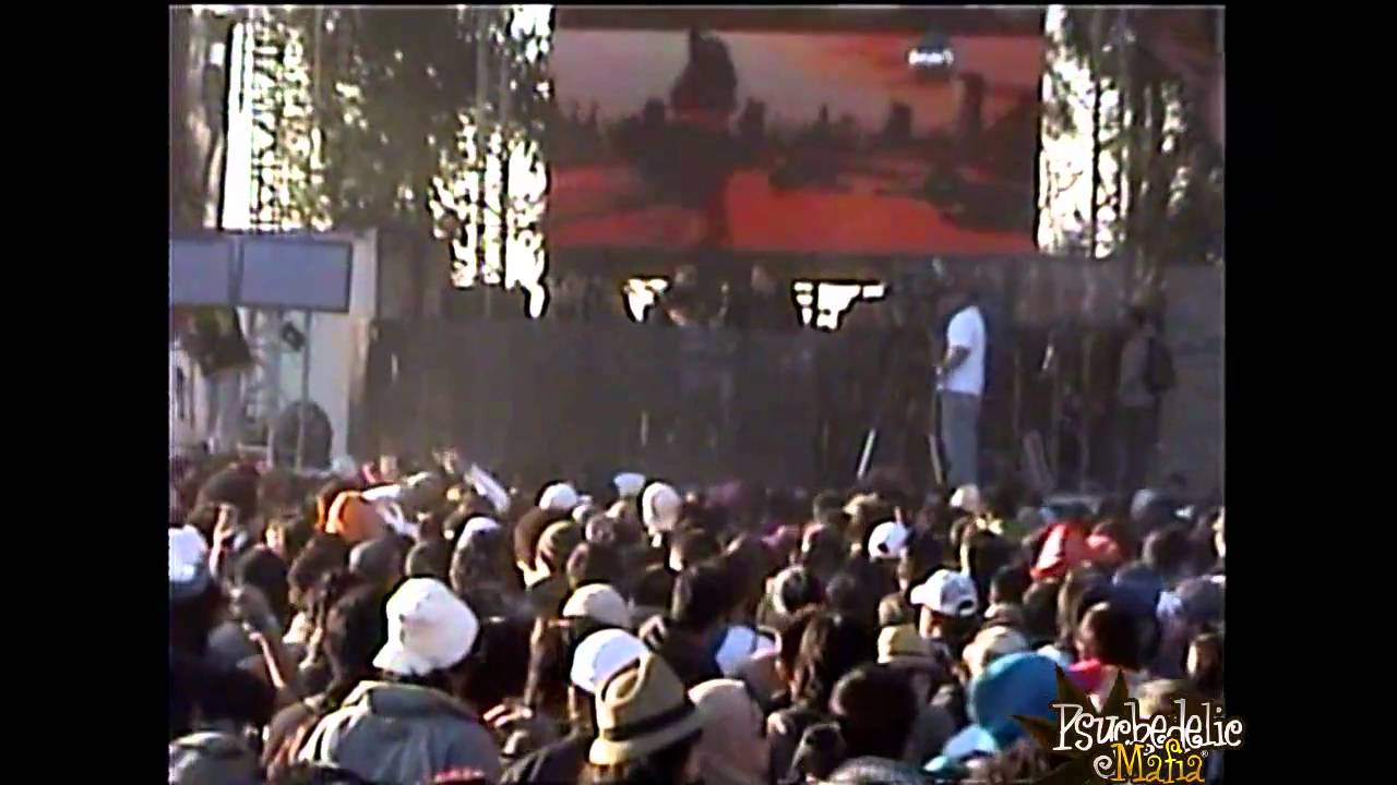 Electro Sun @ Solar Vision 4