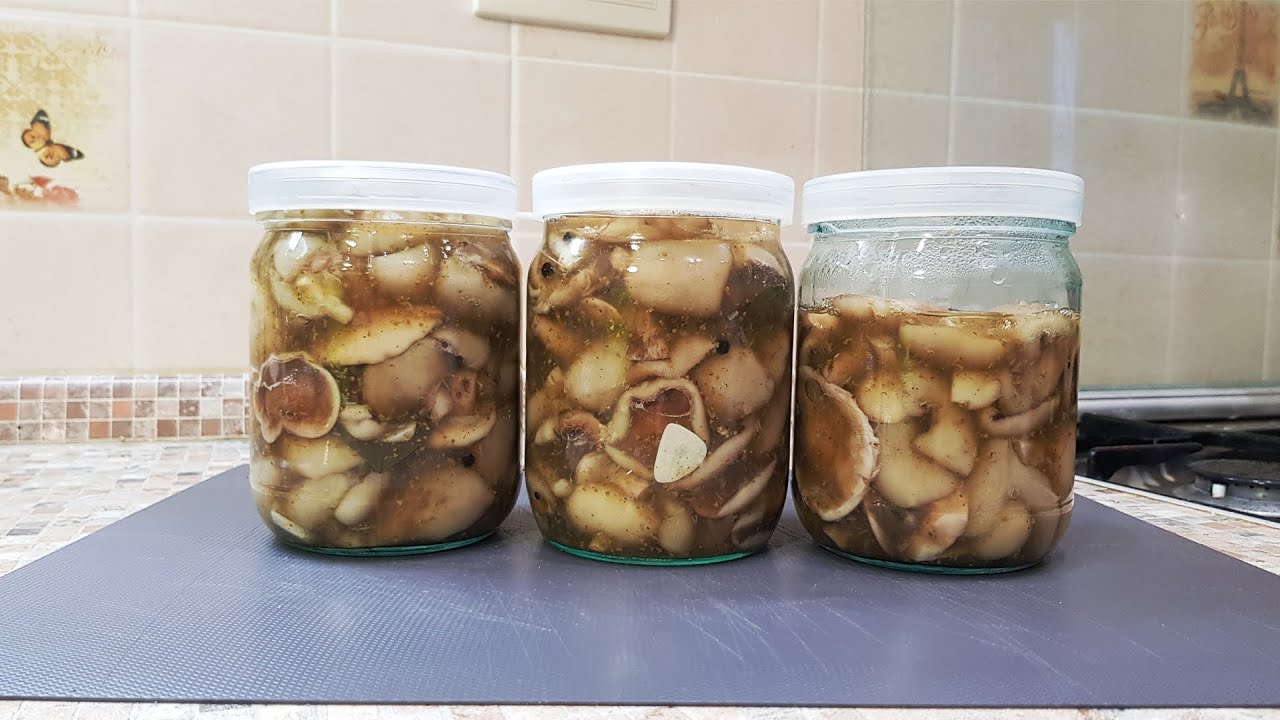 КАК мариновать МАСЛЯТА. Так ПРОСТО вы еще не делали!