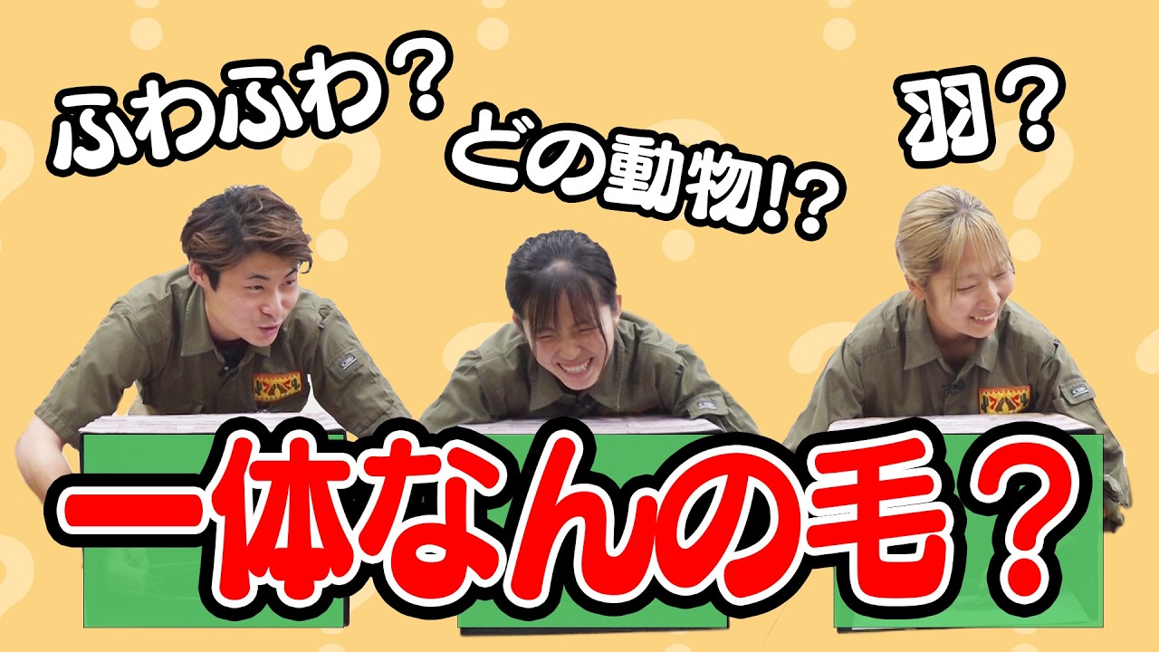 この毛はどの動物？ドキドキの「箱の中身はなんの毛クイズ」開催！