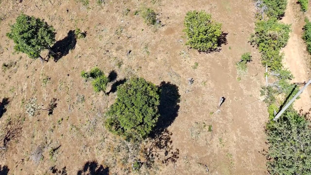 vista drone terreno