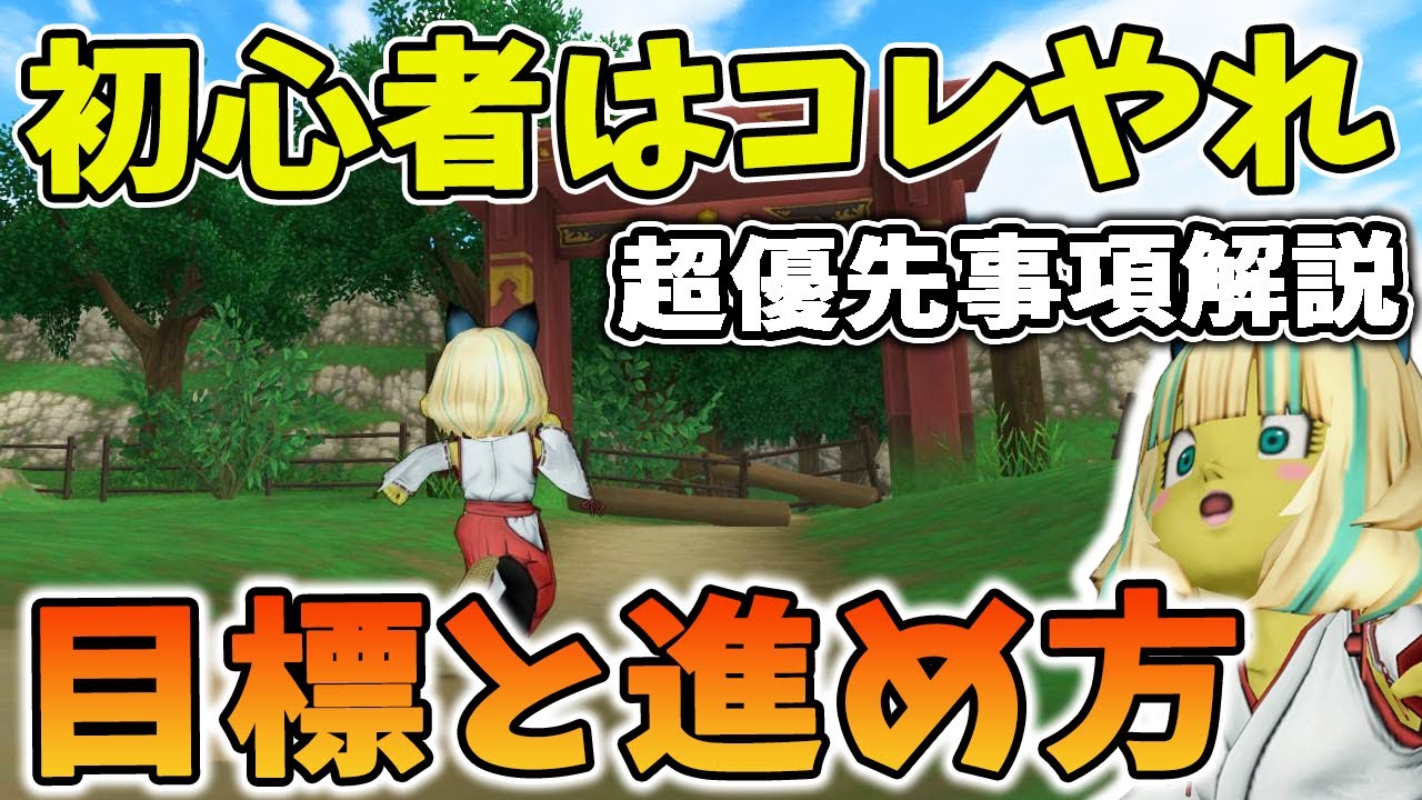 ドラクエ10 初心者がやるべき事を解説！当分の目標や進め方など迷ったらコレ！