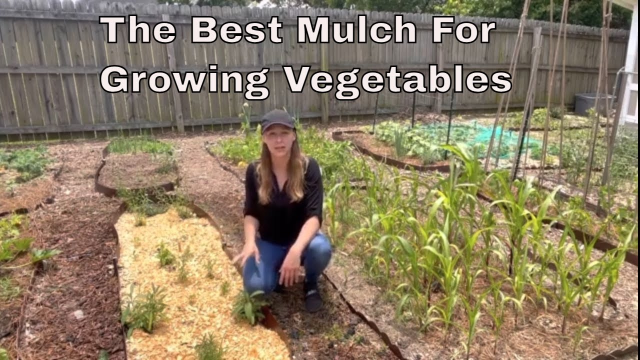 Easy And Affordable: The Best Mulch For Your Vegetable Garden.