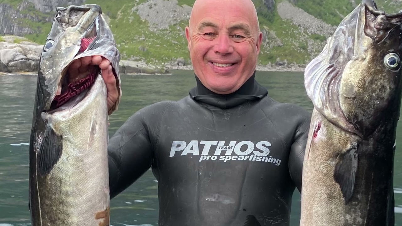 Spearfishing Norways. Amazing Artic Circle with great family and friends June 2024