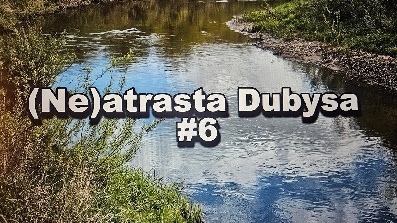 Neatrasta Dubysa #6