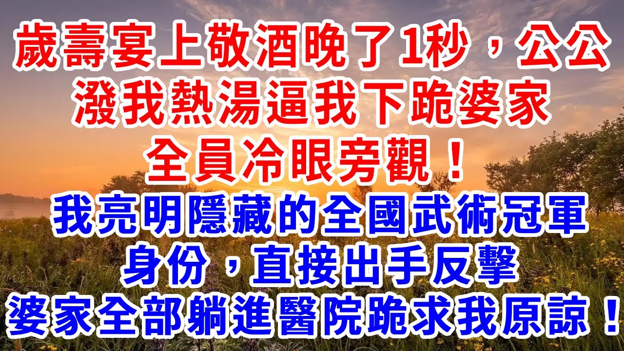 歲壽宴上敬酒晚了1秒，公公潑我熱湯逼我下跪，婆家全員冷眼旁觀！我亮明隱藏的全國武術冠軍身份，直接出手反擊，最後婆家全部躺進醫院，跪求我原諒！