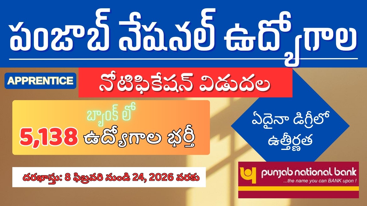 punjab, national bank, notification