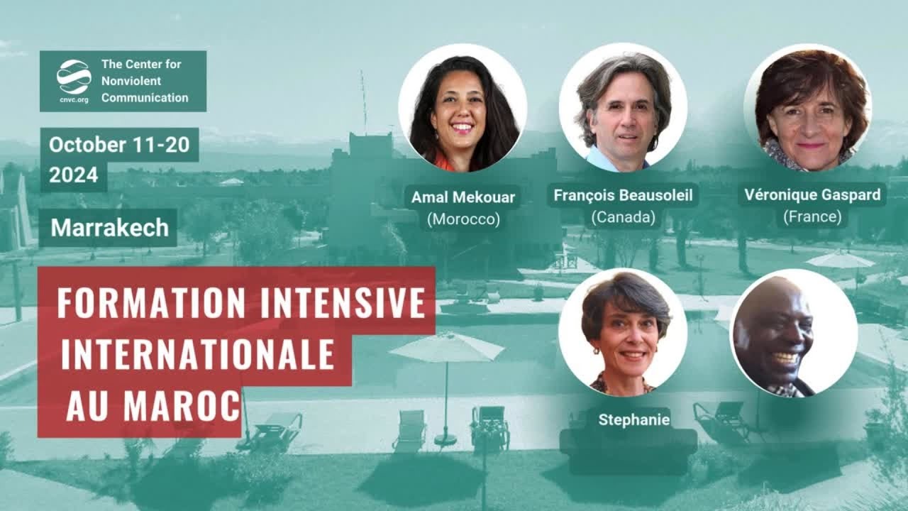 International Intensive Training in Morocco 2024 - Question and Answer session