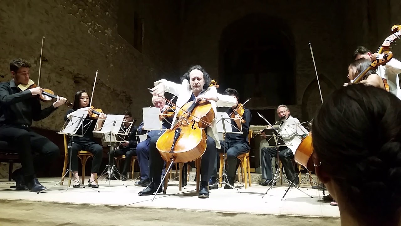 A. Dvorak, Silent woods for Cello and Ensemble
