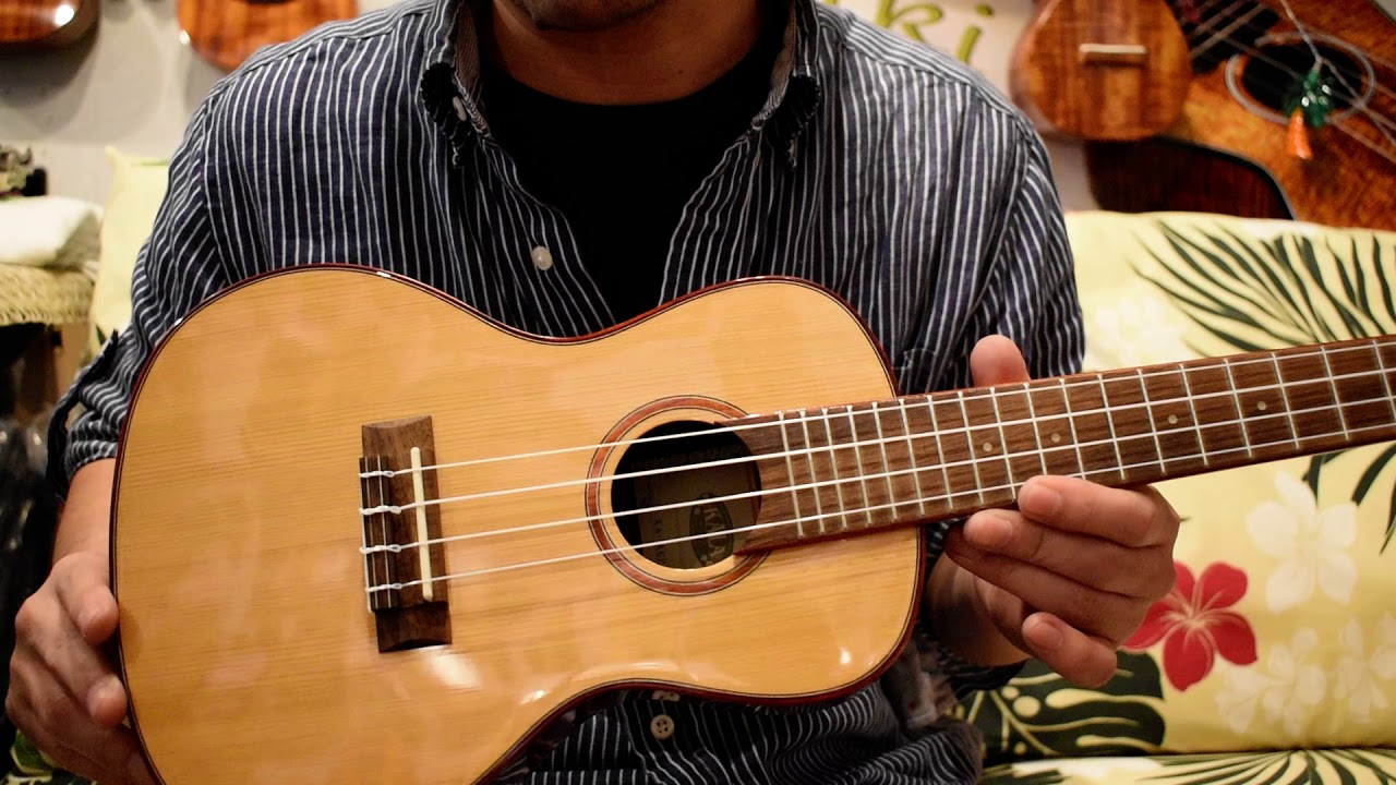 NEW/KALA KA-ACP-CTG Concert@ukuleleshoptantan