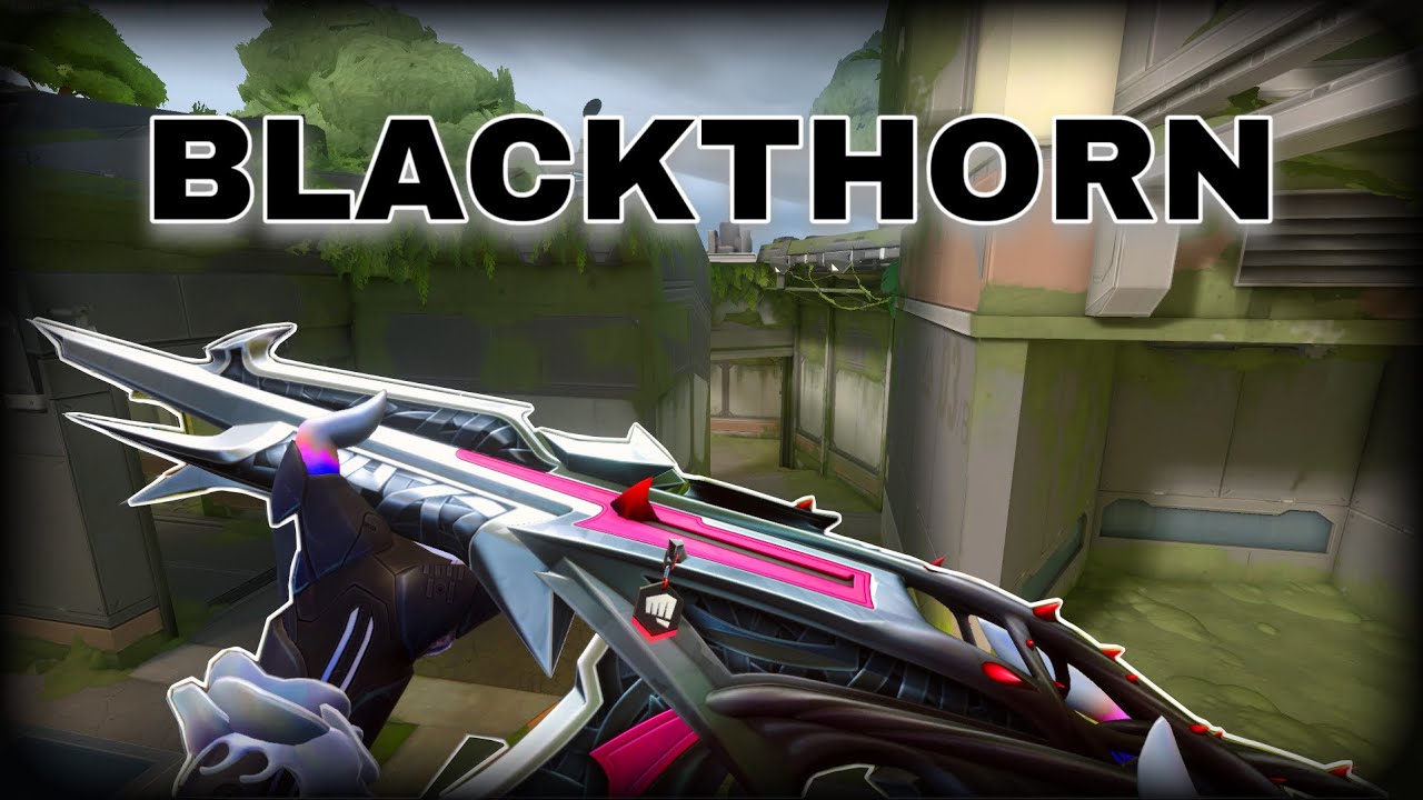 Blackthorn Vandal Purchase & Review