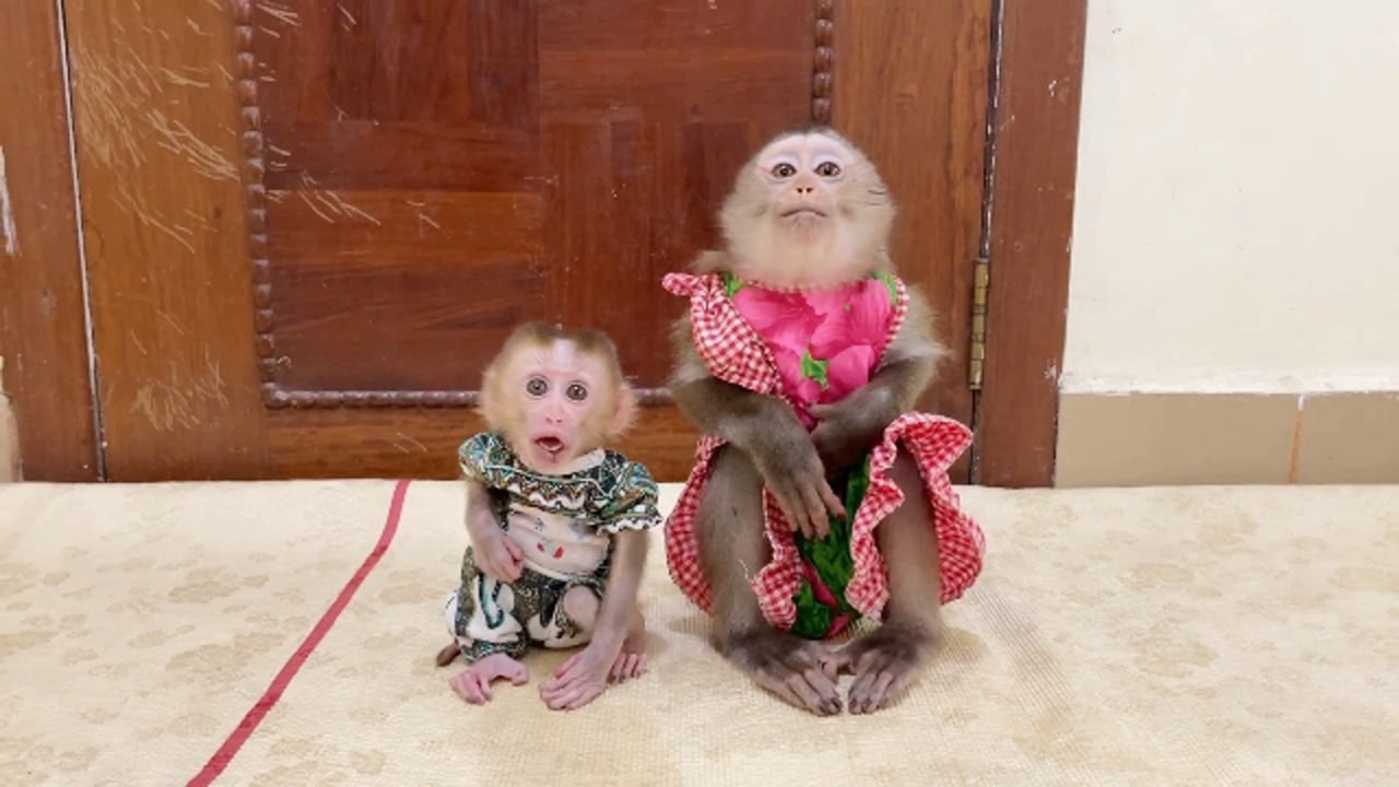 Super Linda & Super Ronaldo Same Style Lip-Smacking Amuse Dad