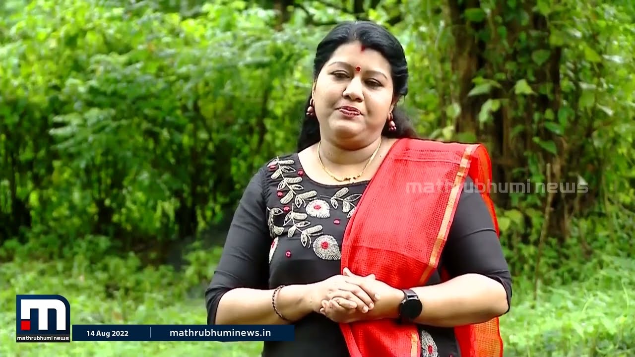 അറിയാം ശംഖുപുഷ്പത്തിന്റെ ഔഷധ​ഗുണങ്ങൾ | Mathrubhumi News |Krishibhumi