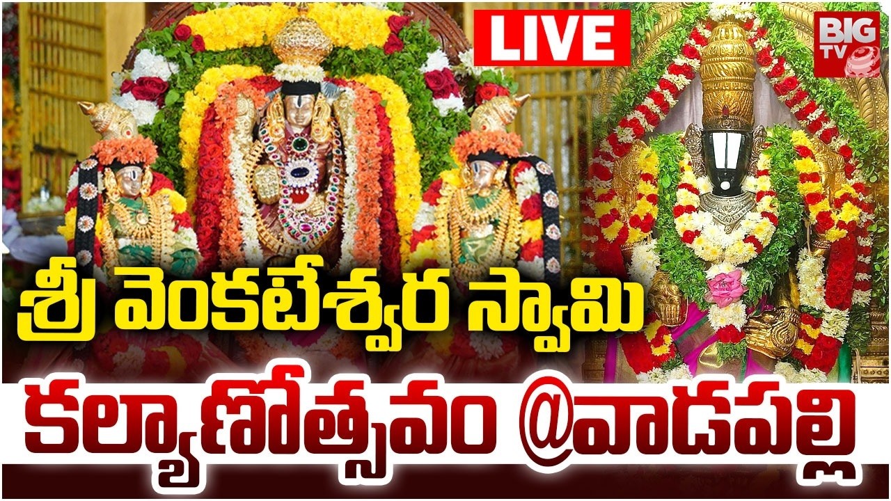 LIVE : శ్రీ వెంకటేశ్వర స్వామి కల్యాణోత్సవం వాడపల్లి | Sri venkateswara swamyKalyanotsavam | BIG TV