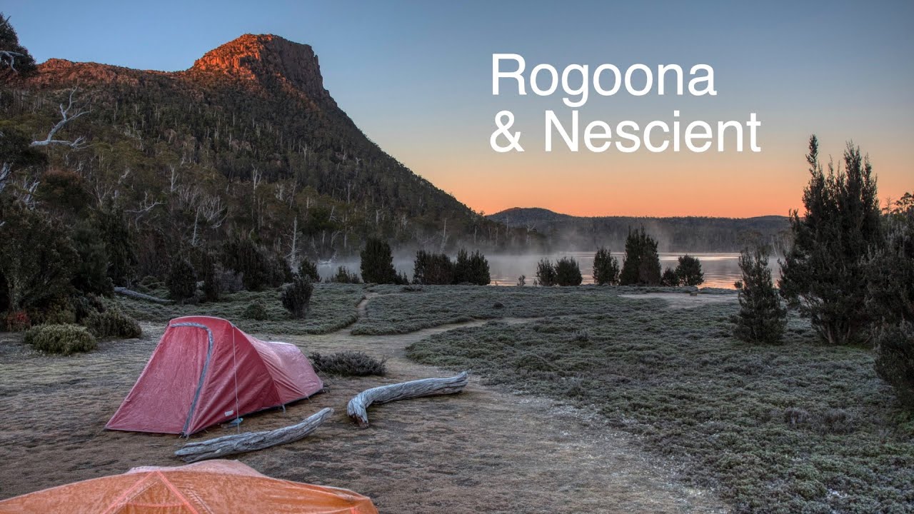Rogoona & Nescient
