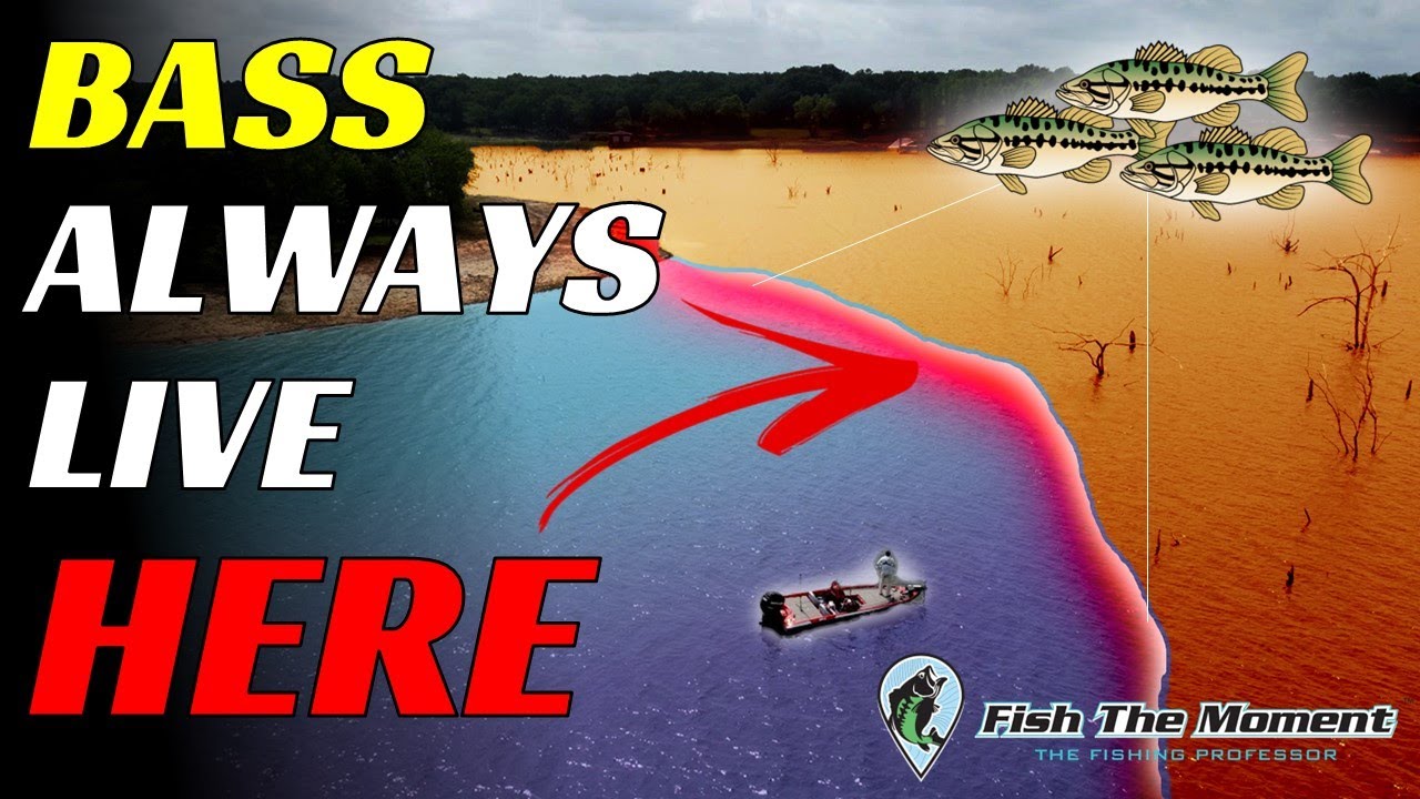 Always Start HERE - The Secret To Locating Bass FAST on Any Lake in the Country