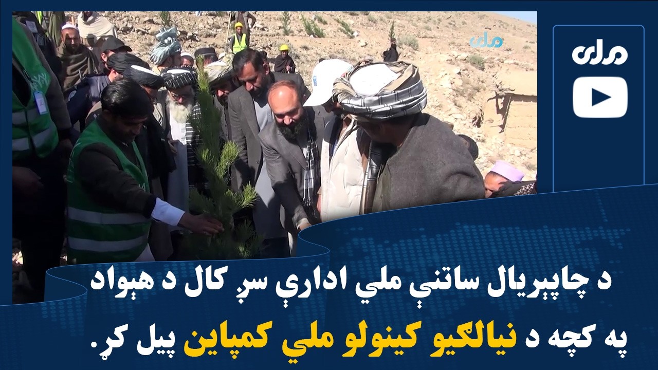 د چاپېریال ساتنې ملي ادارې سږ کال د هېواد په کچه د نیالګیو کینولو ملي کمپاین پیل کړ.