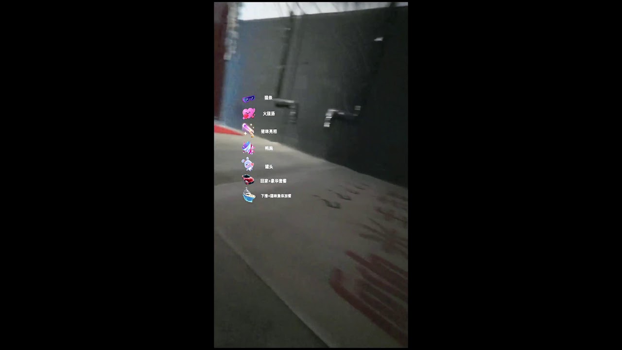 🔴Cat POV Live🔴 2025-12-28 