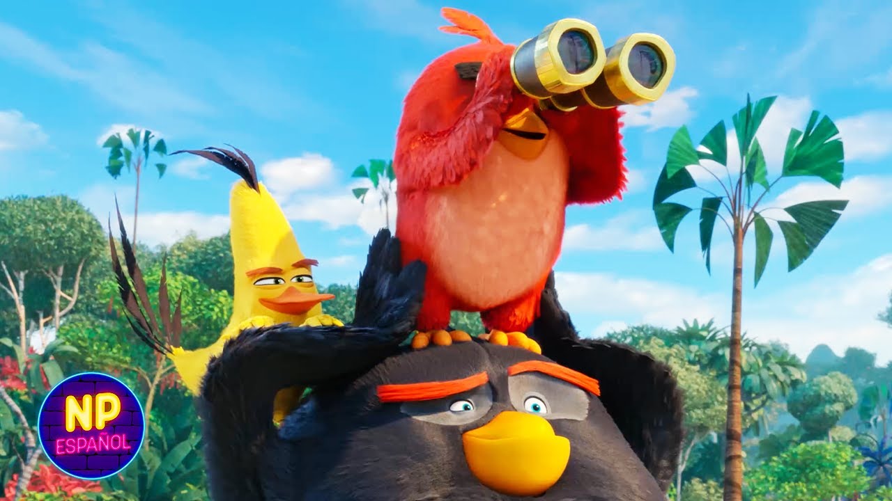 ¡BALA DE CAÑÓN! | Angry Birds 2: La Película (2019) | Now Español