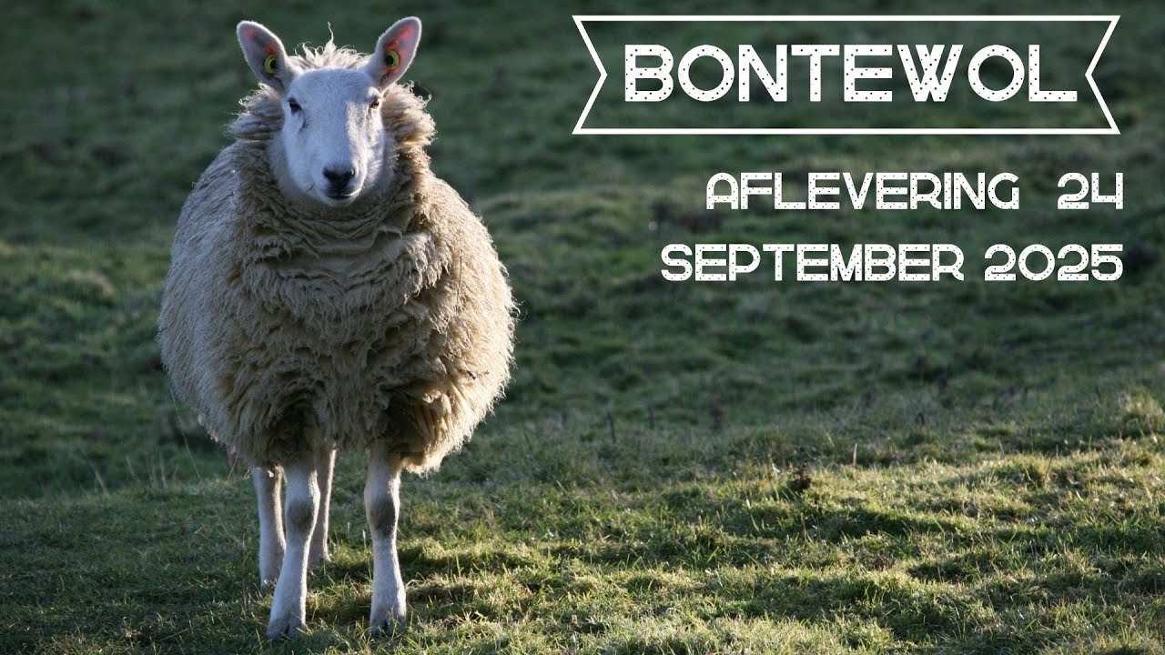 Bontewol afl. 24 (september 2025)