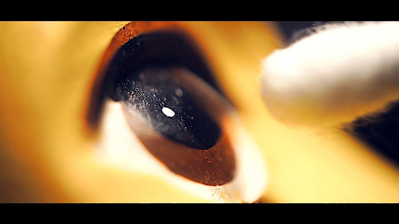ASMR Toy Story 2 inspired