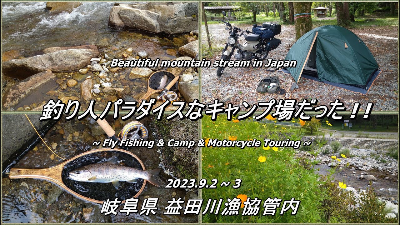 大アマゴ放流だョ！全員集合～♪ 有名温泉地のキャンプ場が釣り人パラダイスだっだ！！ 【 フライフィッシング 渓流釣り キャンプ ツーリング 岐阜県 益田川漁協 】