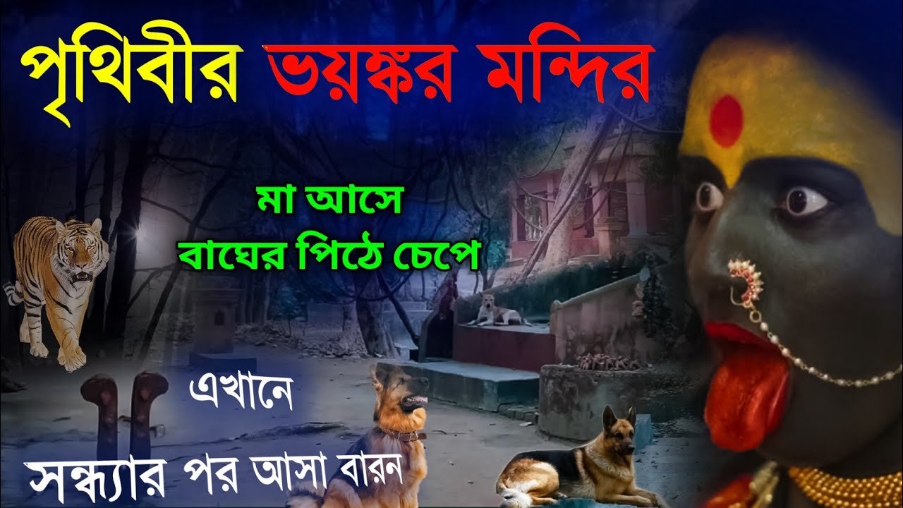 জাগ্রত মা দ্বারবাসিনী | মা আসে এখানে বাঘের পিঠে চেপে | Dwarbasini Mandir | #maakali #kalipuja #viral