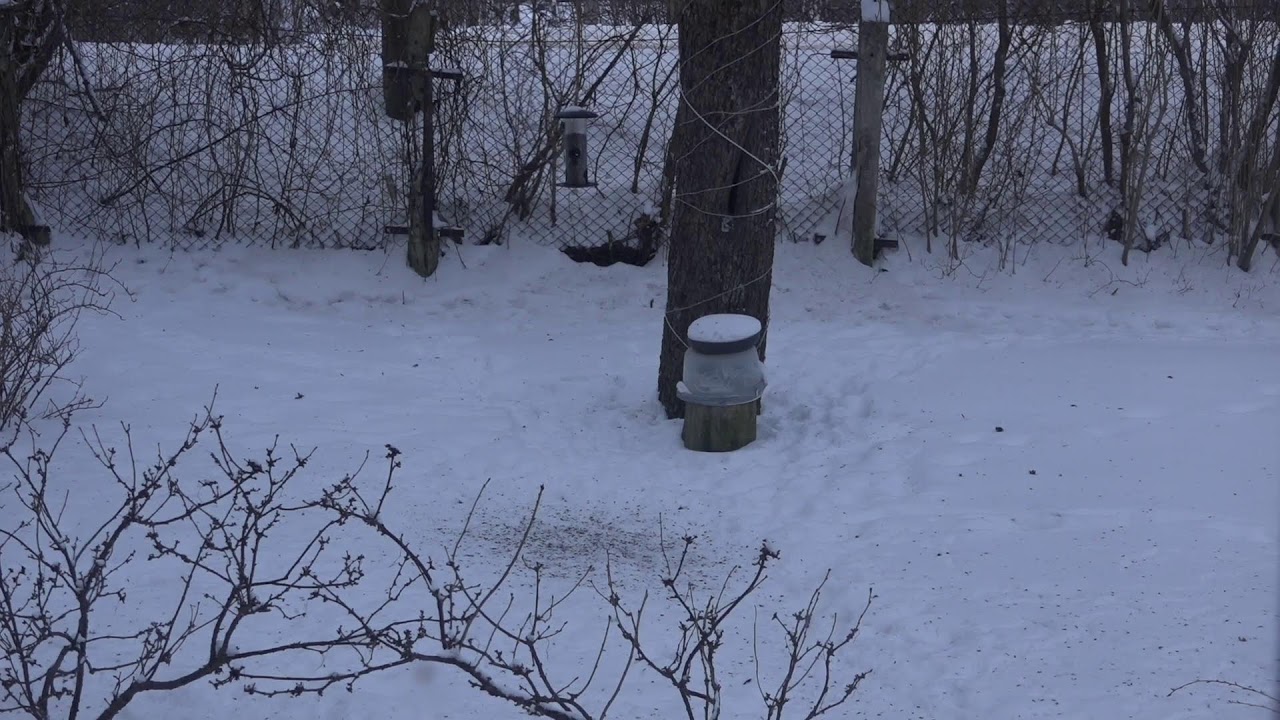 Söögimaja