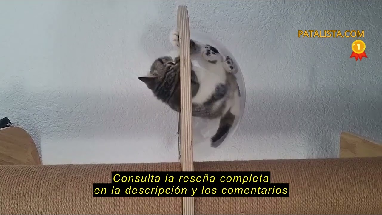 Reseña del FUKUMARU Rascador para Gatos, 6 Niveles hasta el Techo (280-300 cm), árbol para Gatos mon