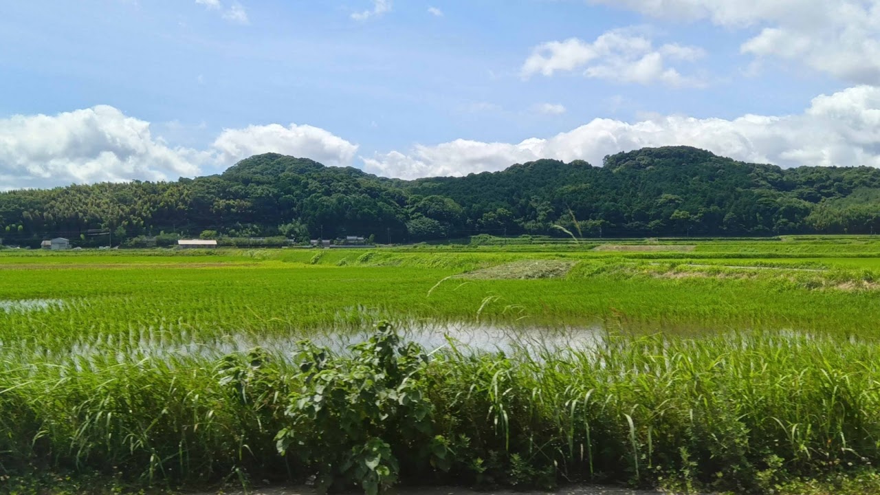 福岡県飯塚市片島ライブカメラ Fukuoka Iiduka Katashima Live Camera.world.cam