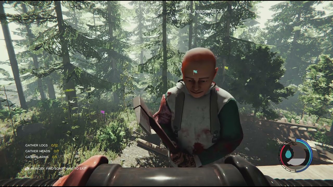 The Forest 8