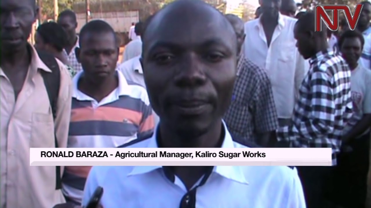 Kaliro residents celebrate getting onto electricity grid