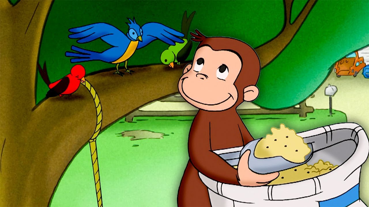 ¡Vamos a alimentar a los pájaros! | Jorge El Curioso En Español