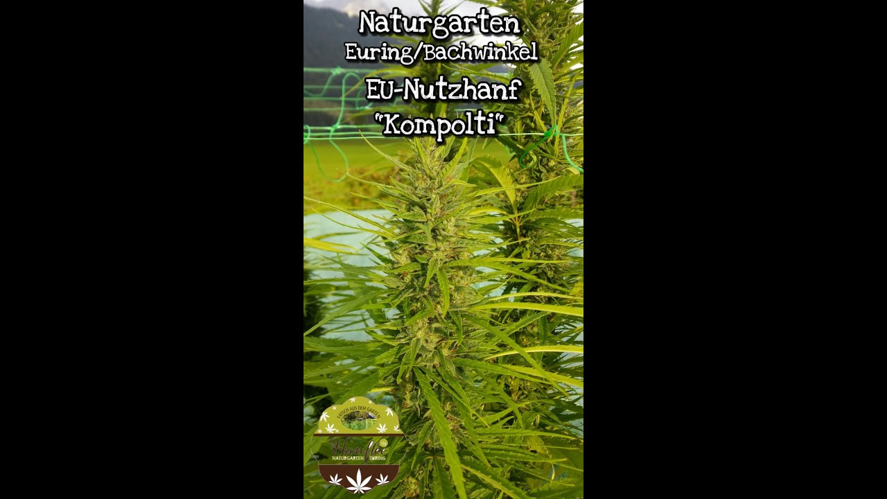 #420 Naturgarten Euring/Bachwinkel 