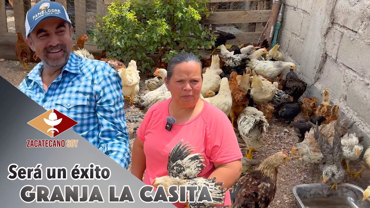 ¿CUÁL GRANJA SERÁ LA MEJOR? Ya tenemos tres