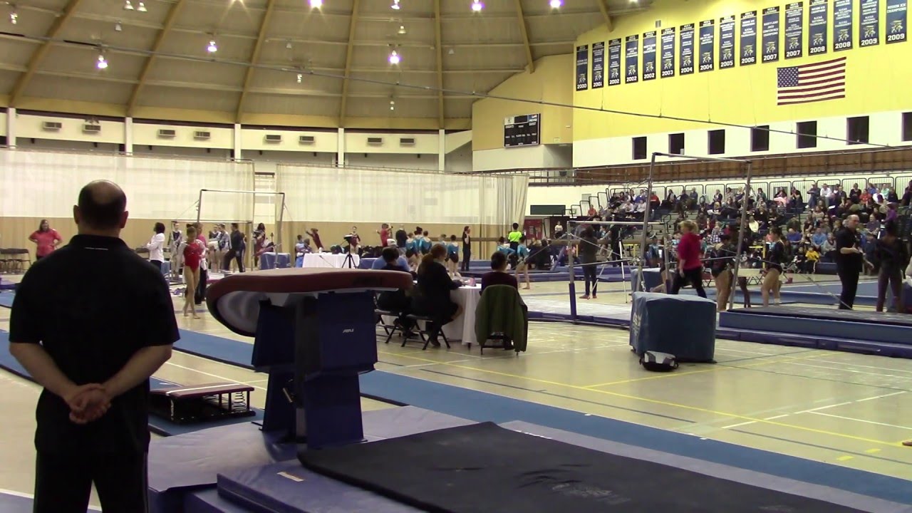 Level 7/8 Gymnastics - Vault 3: BCG Valentine Invitational - Session 4