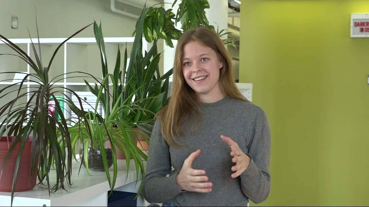 Brooklyn company creates textiles from seaweed to eliminate ocean waste