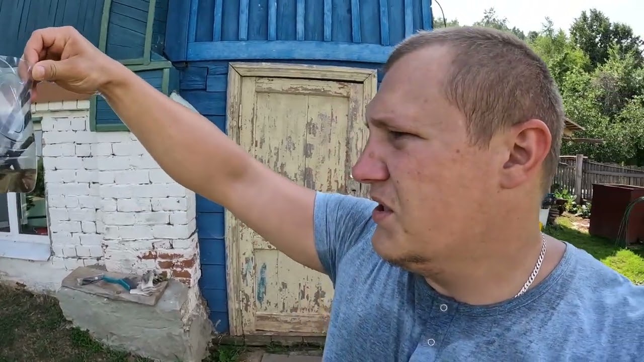 Гороховые деревья быстро растут, а виноград теперь разводим воздушным методом