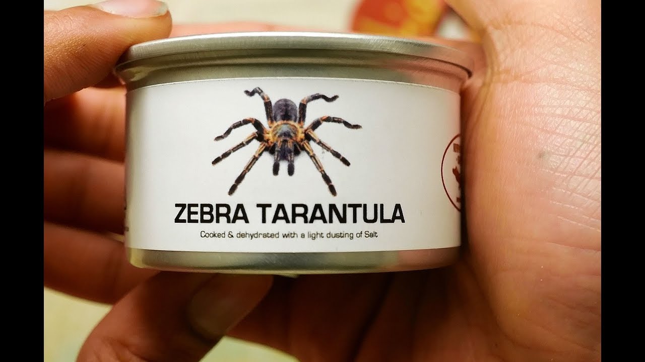 TARANTULA IN A CAN TASTE TEST REVIEW [Sir Sebastian]