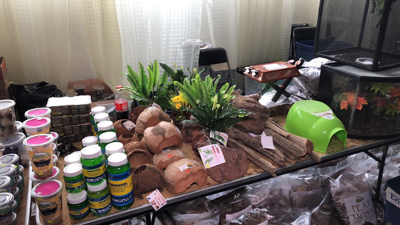 Expo Animalia 2019